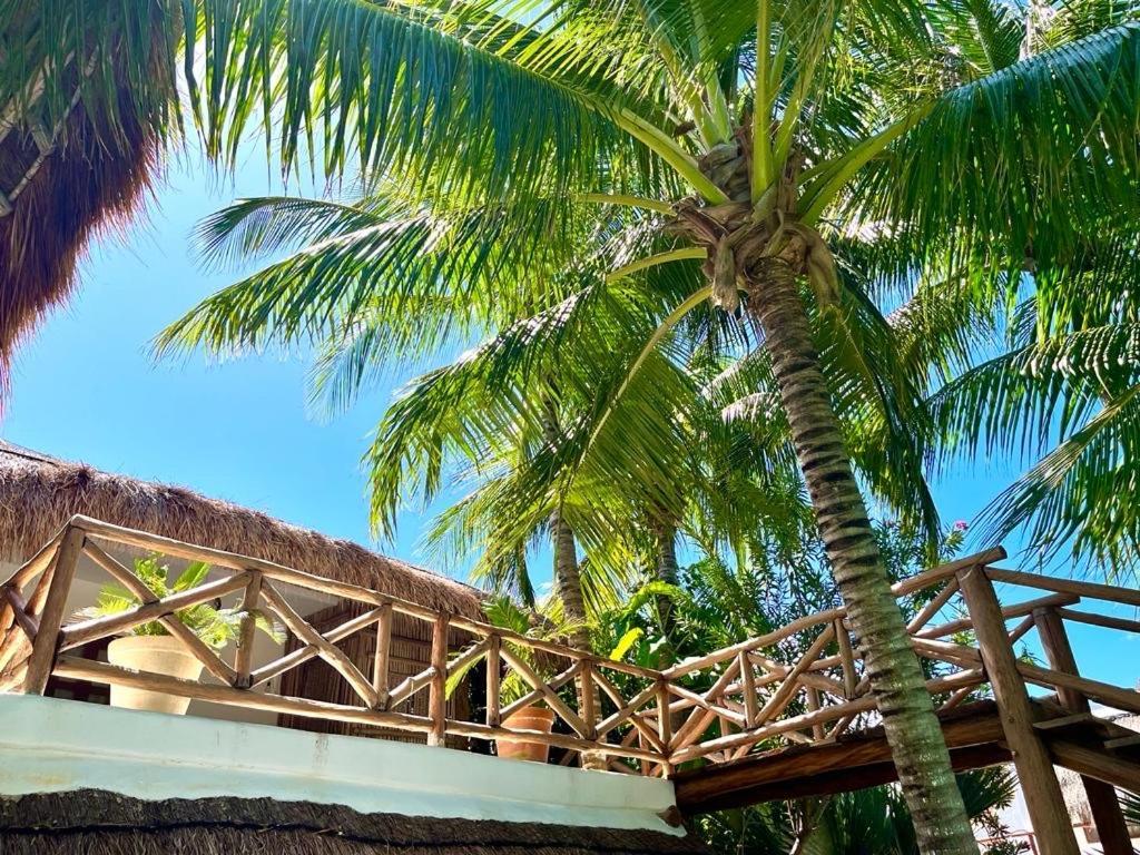 Casa Tom Tom - Adults Only Bed & Breakfast Isla Holbox Exterior foto