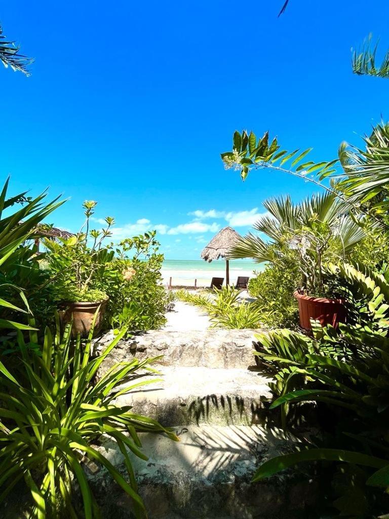 Casa Tom Tom - Adults Only Bed & Breakfast Isla Holbox Exterior foto